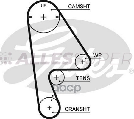 Gates Зубчатый ремень пр. ГРМ PowerGrip 5409XS