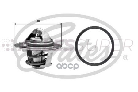 Gates Термостат TH25782G1