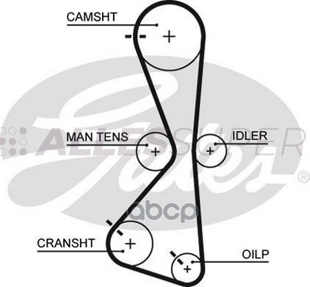 Gates Зубчатый ремень пр. ГРМ PowerGrip 5609XS