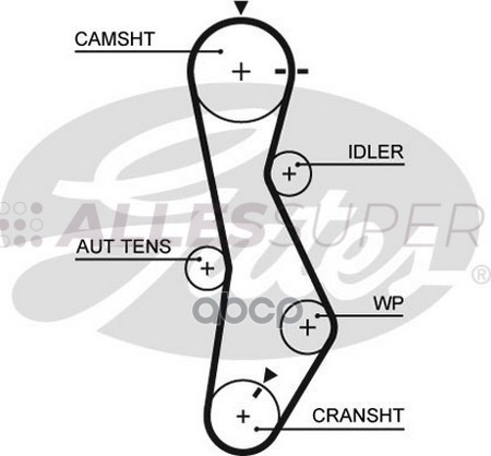Gates Зубчатый ремень привода ГРМ PowerGrip 5579XS